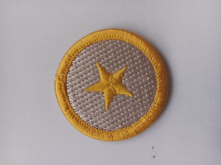 1 STAR HASH MARK - "MCSO" MARICOPA COUNTY SHERIFF